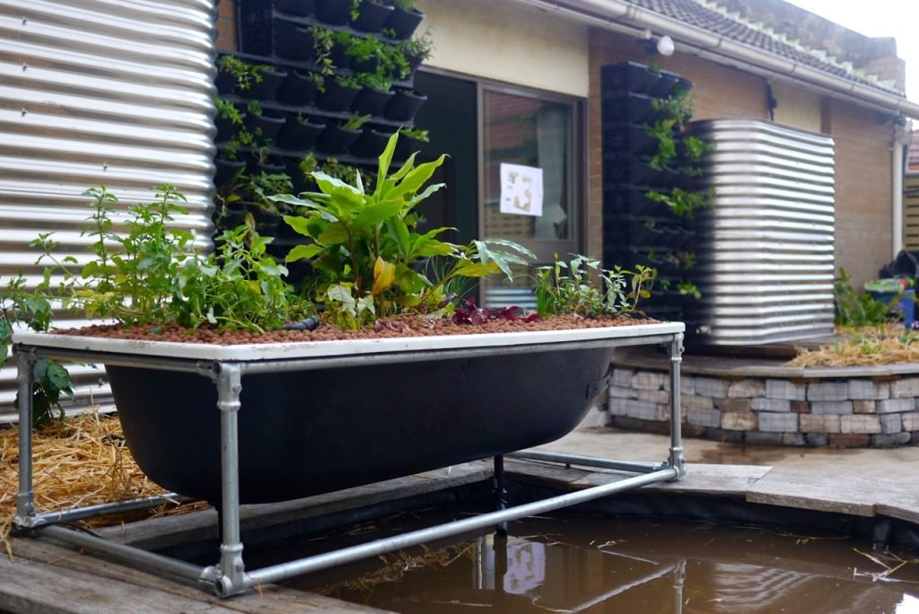 10 diy aquaponics ideas to get started right now