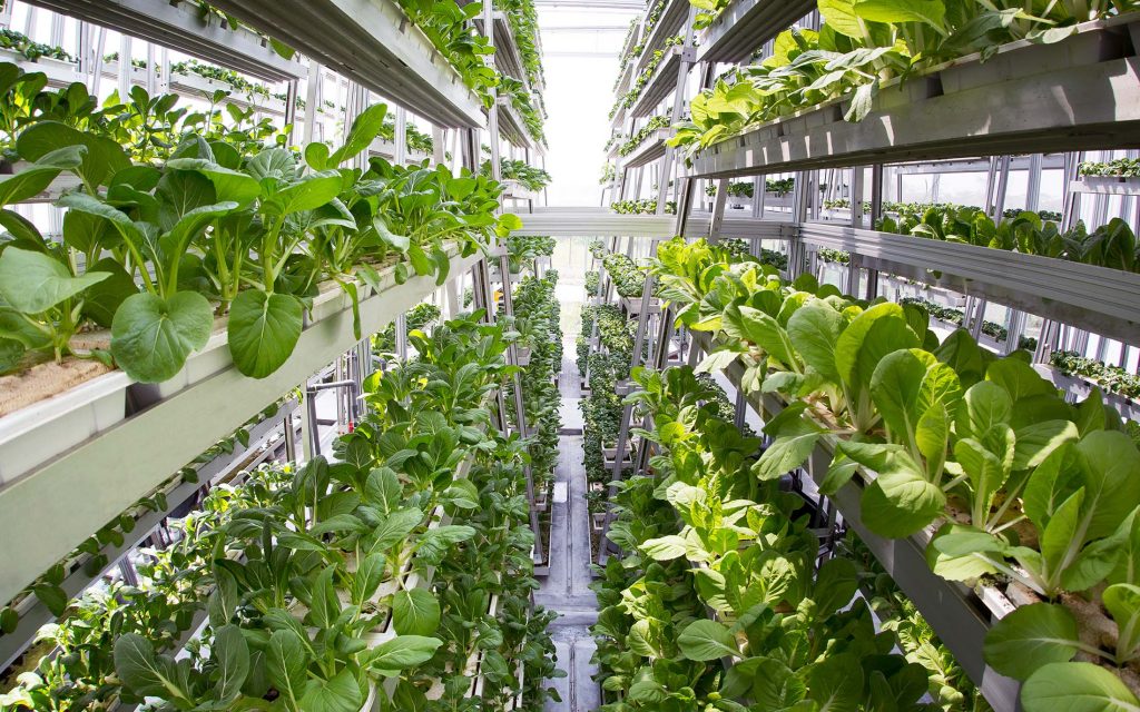 Aquaponics gardening australia The Worst Greenhouse Gasses You Haven’t Heard Of