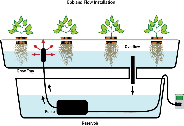 EBB and Flow VS DWC – Which System Should You Choose? - Gardening Heavn