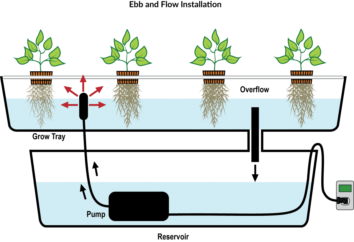 EBB and Flow VS DWC Which System Should You Choose? Gardening Heavn